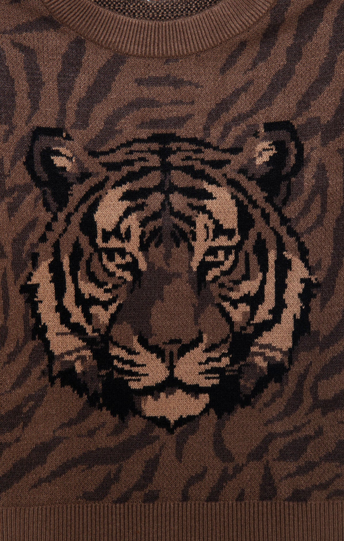 Little Seasons Sweater ~ Wild Tiger Graphic Knit