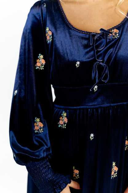 Alysha Velvet Embroidered Dress