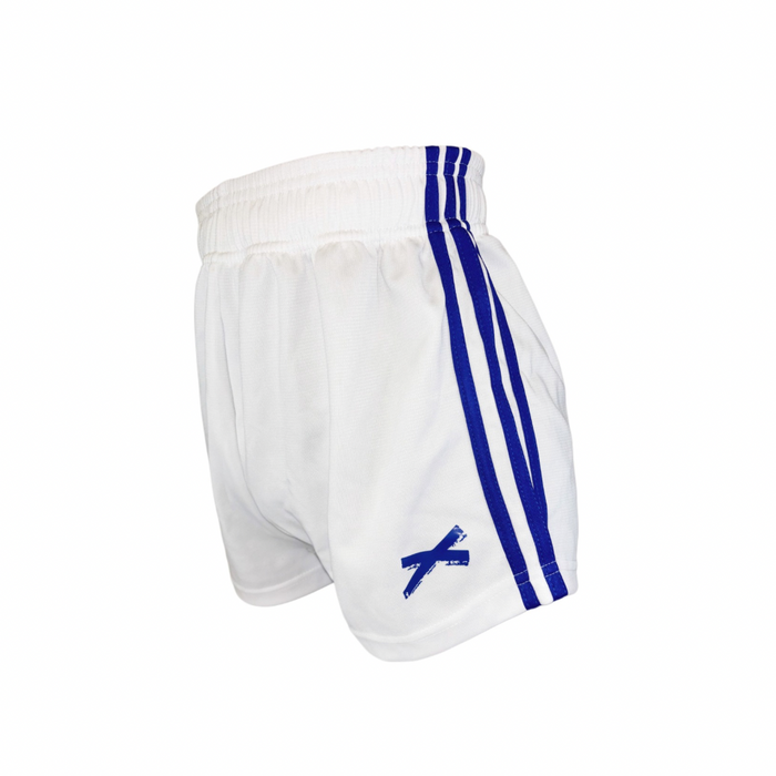 GAA Shorts | Blue | Lar Corbett Sports