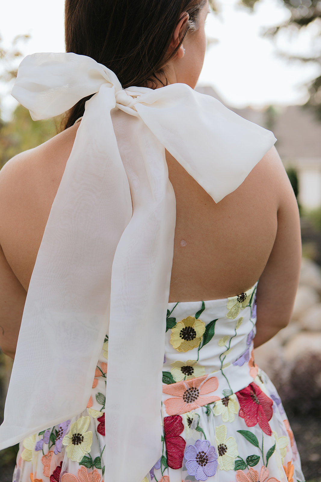 Taylor Embroidered Dress