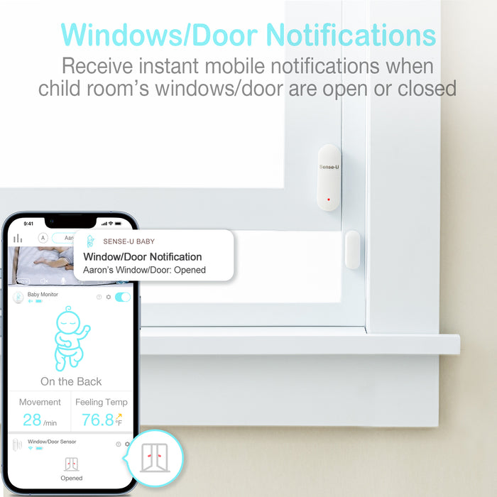 Window & Door