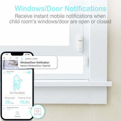 Window & Door